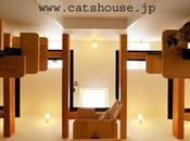 week house