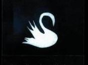 Mazzy Star Among swan (1996)