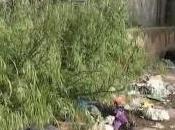 Gricignano (CE) Munnezza Tour (03.05.11)