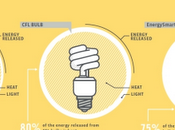 Lampadine: incandescenza, fluorescenti LED. Un'infografica