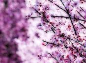 Come sfruttare l’Energia della Primavera