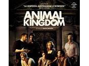Animal Kingdom David Michod