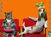 Segnalazione Libresca: L'AMORE LASCIA SEGNO Renato Assin