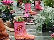 Piantali negli stivali guarda crescere giardino!