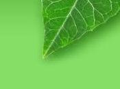 Casale, operazione “verde” dipendenti Sanden