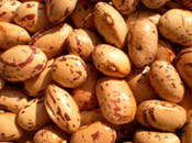 Zuppa scarola fagioli