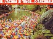 Duck Race italiana: paperelle gara sull'Olona