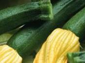 Gran flan zucchine fiori zucchina