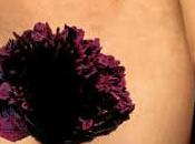 Esce libreria manna miele,