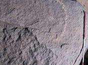 Misteriose incisioni rupestri scoperte Sudan
