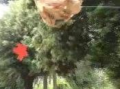 Aversa Festa degli incontri dell'Azione Cattilica Parco Pozzi (15.05.11)