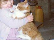 Roba gatti. origini.