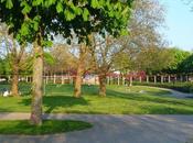 Sinestesie (fumi di-vini e-d-eresie)