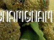 Polpettine pollo verdure