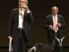 tocca anche Vittorio Sgarbi!