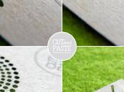 Project Paper Laser Test