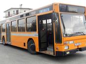 zonzo Castelli Romani