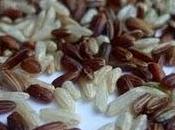 Riso carne verdure