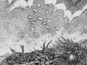 riflessioni incisore written Carlo Iacomucci