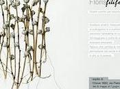 FLORIS filiformis