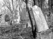 cimitero blog