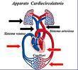 Medici vena