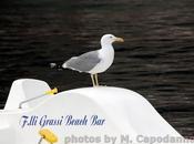 bagno alla Spiaggia Fornillo