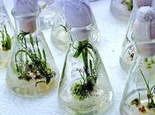 Mondo Sociale Naturale: stessi criteri ricerca?