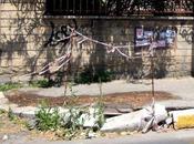 Davanti scuola elementare