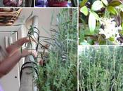 prima cena balcone, Aperitivo Paella marisco.....