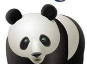 Google Panda Nuovo servizio arrivo google ricerche Intelligenti