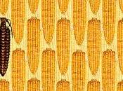 Ogm, dall'Efsa nuove linee guida