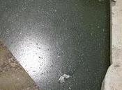 Piazza Grandi Consiglio Comunale