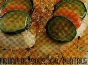 Pollo gelatina aromatizzato allo zenzero