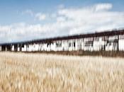 Giorni andati giorni verranno Days gone days come