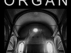 ORGAN, Eterno