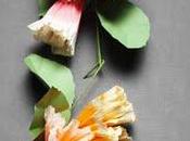 proposito ghirlande...