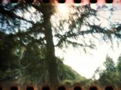 LOMOGRAPHY PIMhole Fujichrome PROVIA 100F sviluppata cross processing