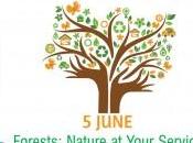 Giugno: Giornata Mondiale dell’Ambiente