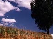 giugno 1999