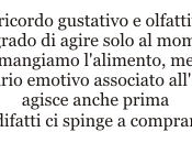 consiglio centrosinistra, dopo amministrative