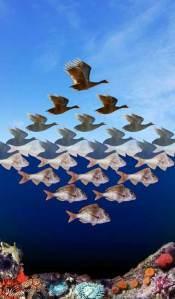 Diamoci futuro gentile