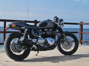 Thruxton Special 8Negro