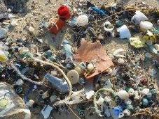 Inquinamento plastica: lancia petizione mondiale