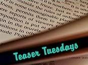 Teaser Tuesdays (25)