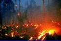 Mega incendio Arizona