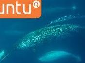 Software Packages Ubuntu 11.04 Natty Narwhal, categoria Version Control System.