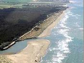 bassona spiaggia ravenntae, chiusa nudisti