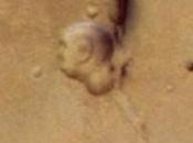 Nella vecchia fattoria…