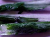 Erbe ghiaccio